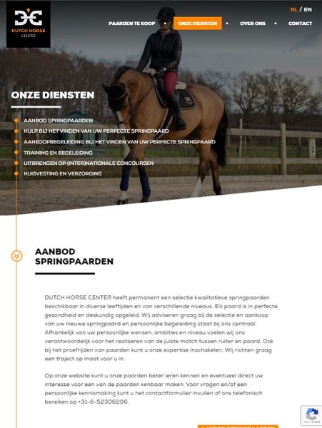 Website Dutch Horse Center gebouwd o.l.v. Nynke